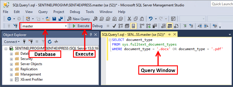 SQL Server Management Studio Execute Query