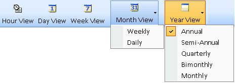 Timeline Timespan Menu Expanded for Month and Year Views