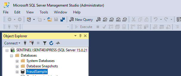 Microsoft SQL Server Management Studio server databases